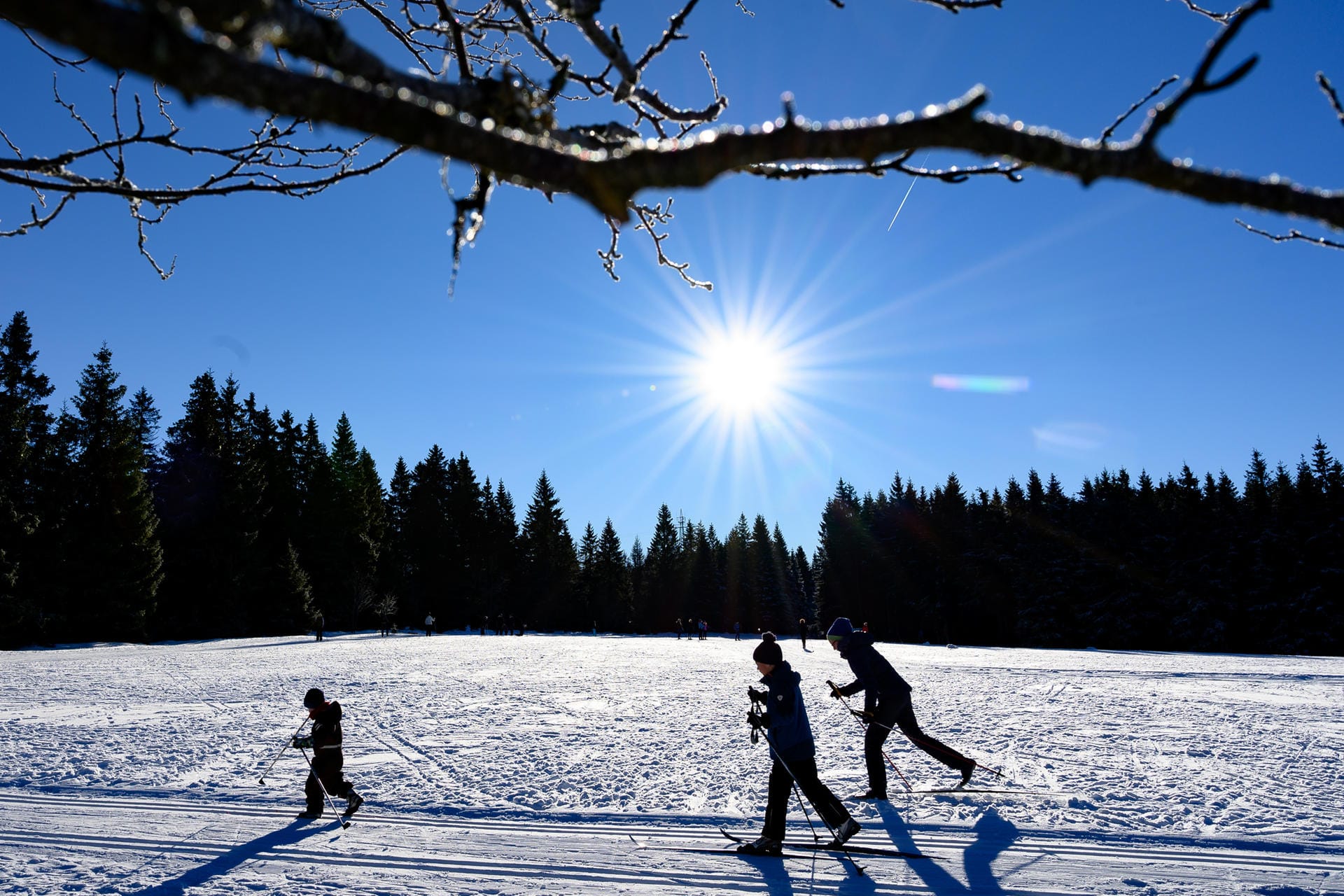 Schnee und Sonne im Harz: Wintersportler haben bei dem Wetter besonders viel Vergnügen.