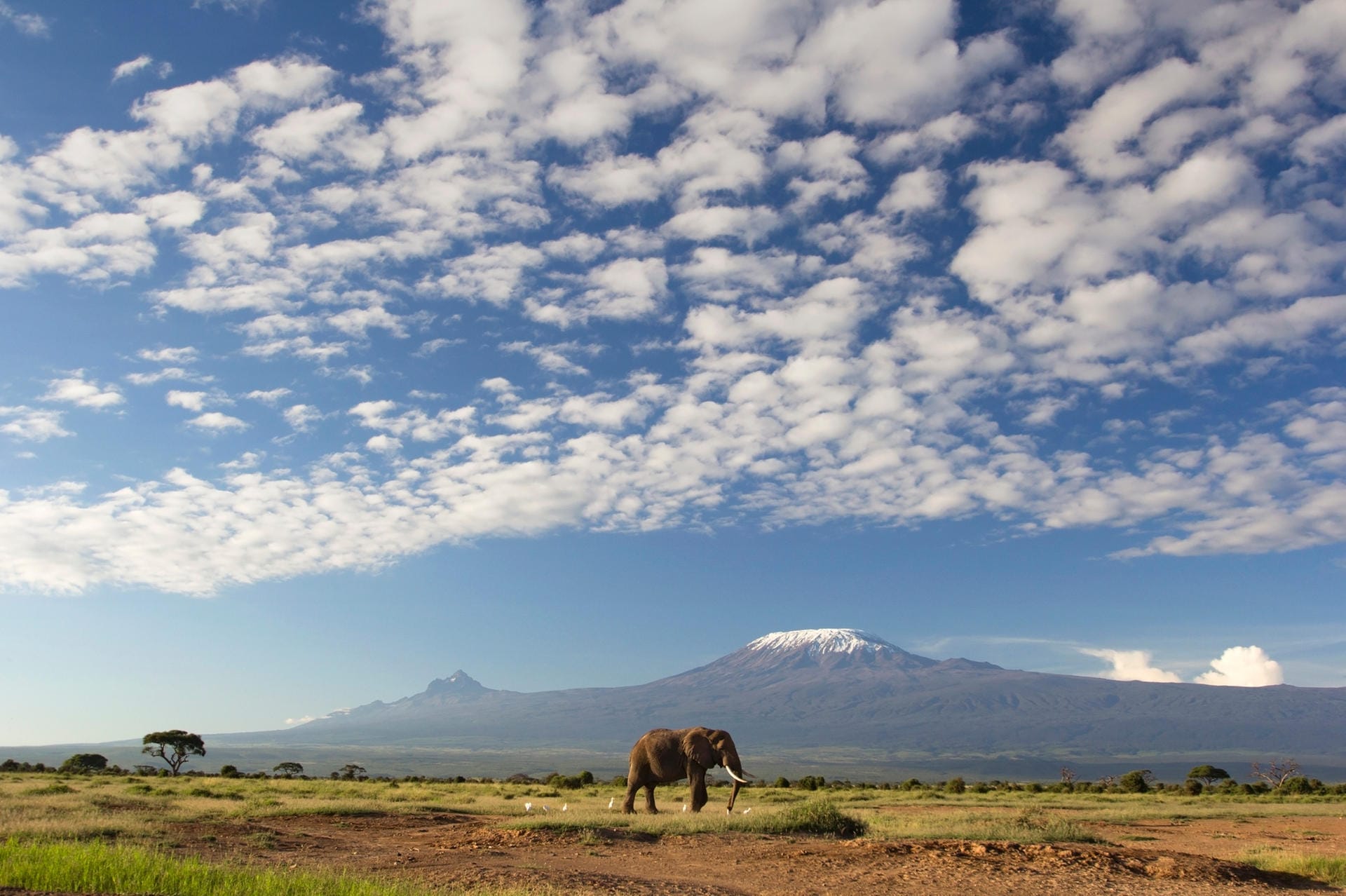 Tansania: Die Heimat des Kilimanjaro hat gerade ein E-Visum für bis zu 220 Euro eingeführt.
