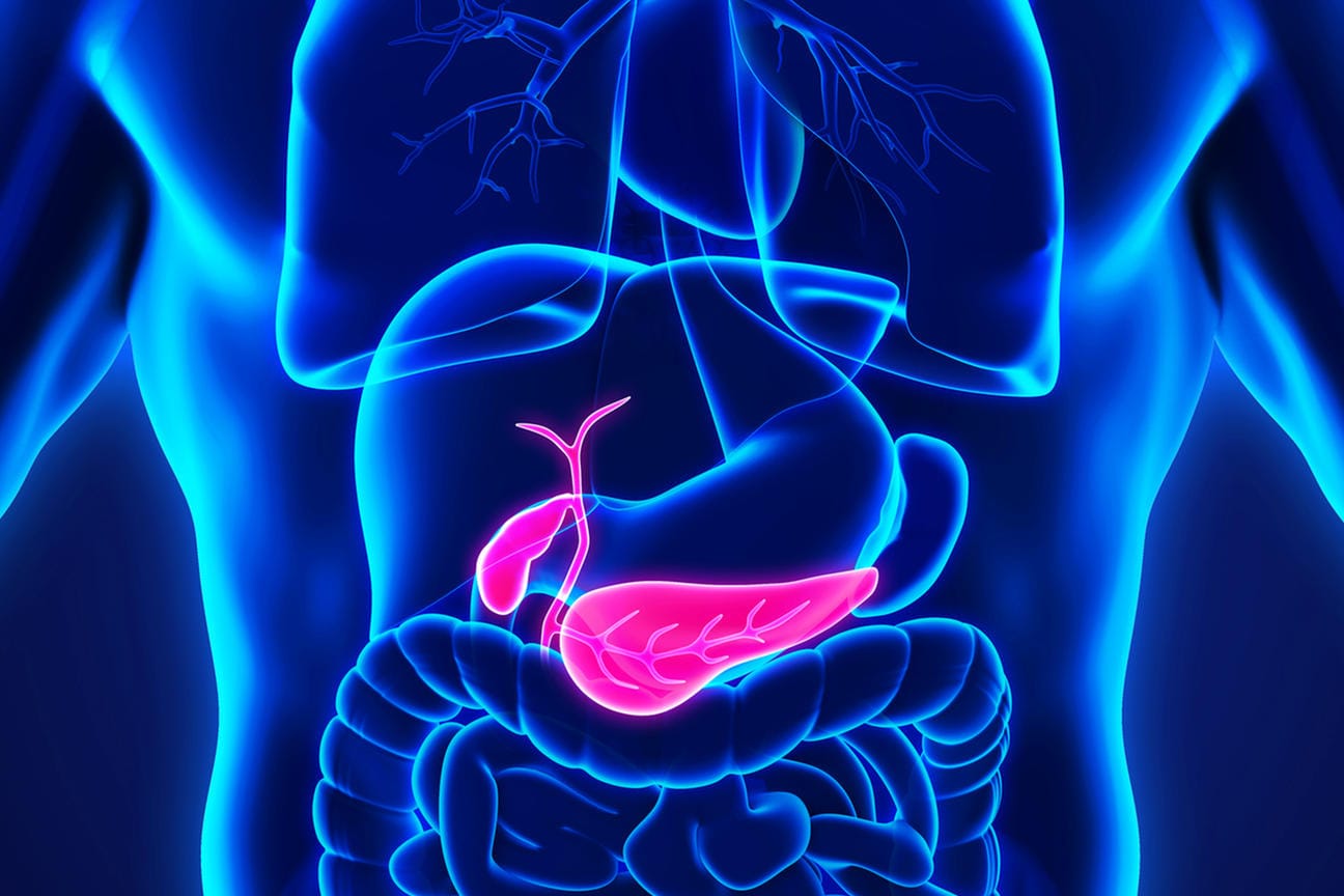 Bauchspeicheldrüse: Krebs ist hier meistens tödlich.