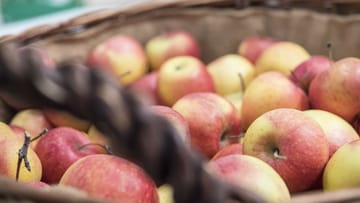 Äpfel verströmen das Reifegas Ethylen und bringen anderes Obst in der Nähe zum Nachreifen.