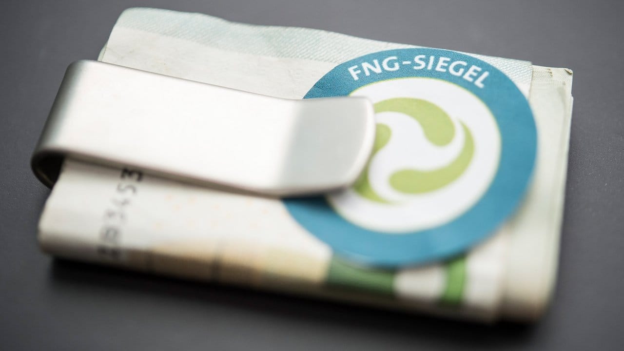 Das Forum Nachhaltige Geldanlagen (FNG) hat ein Siegel für nachhaltige Fonds entwickelt. Das Forum Nachhaltige Geldanlagen (FNG) hat ein Siegel für nachhaltige Fonds entwickelt.
