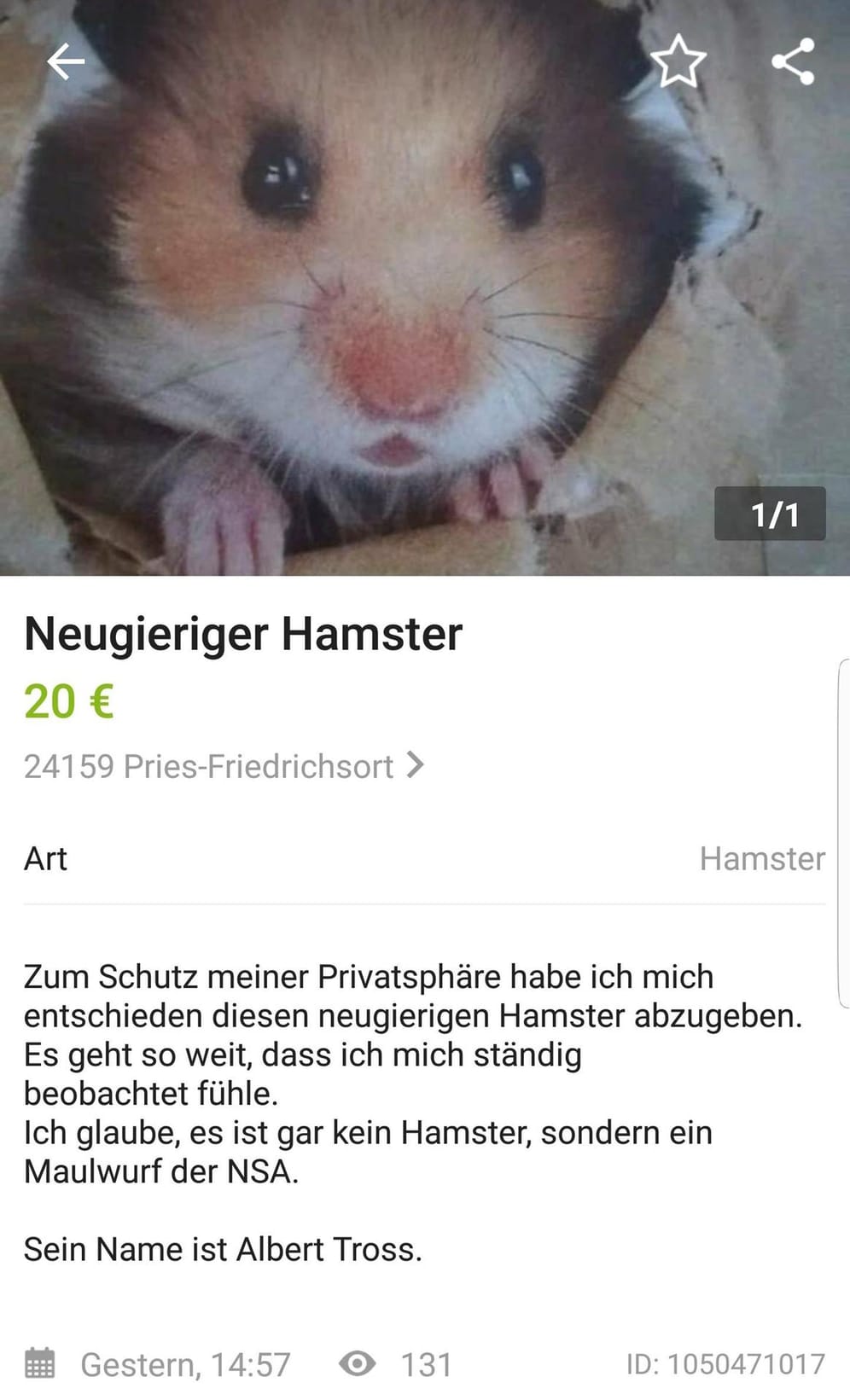 Zum Schutz der Privatsphäre: Jeder braucht einen NSA-Hamster.