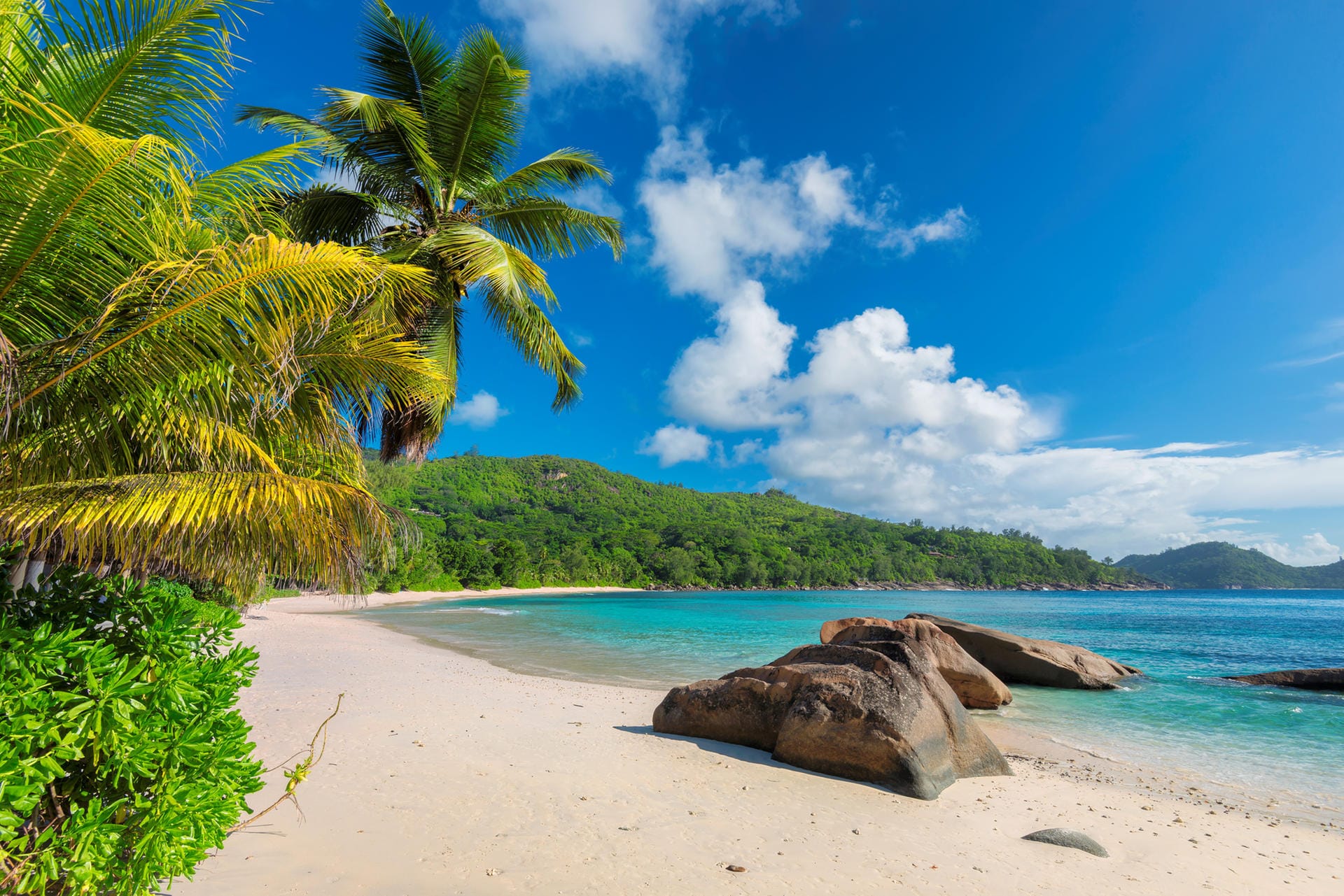 Seychellen: Die Seychellen sind vor allem bekannt als Luxusdestination. Es gibt aber auch für weniger Geld einiges zu entdecken.