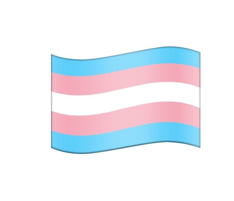 Zudem wünschen sich Nutzer die Transgender-Flagge.