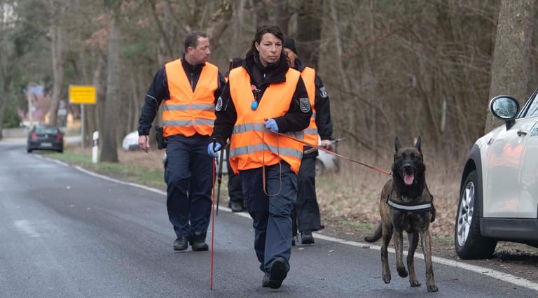 Zwölf Suchhunde waren bei der zweiten großen Suche in Brandenburg am Freitag im Einsatz.