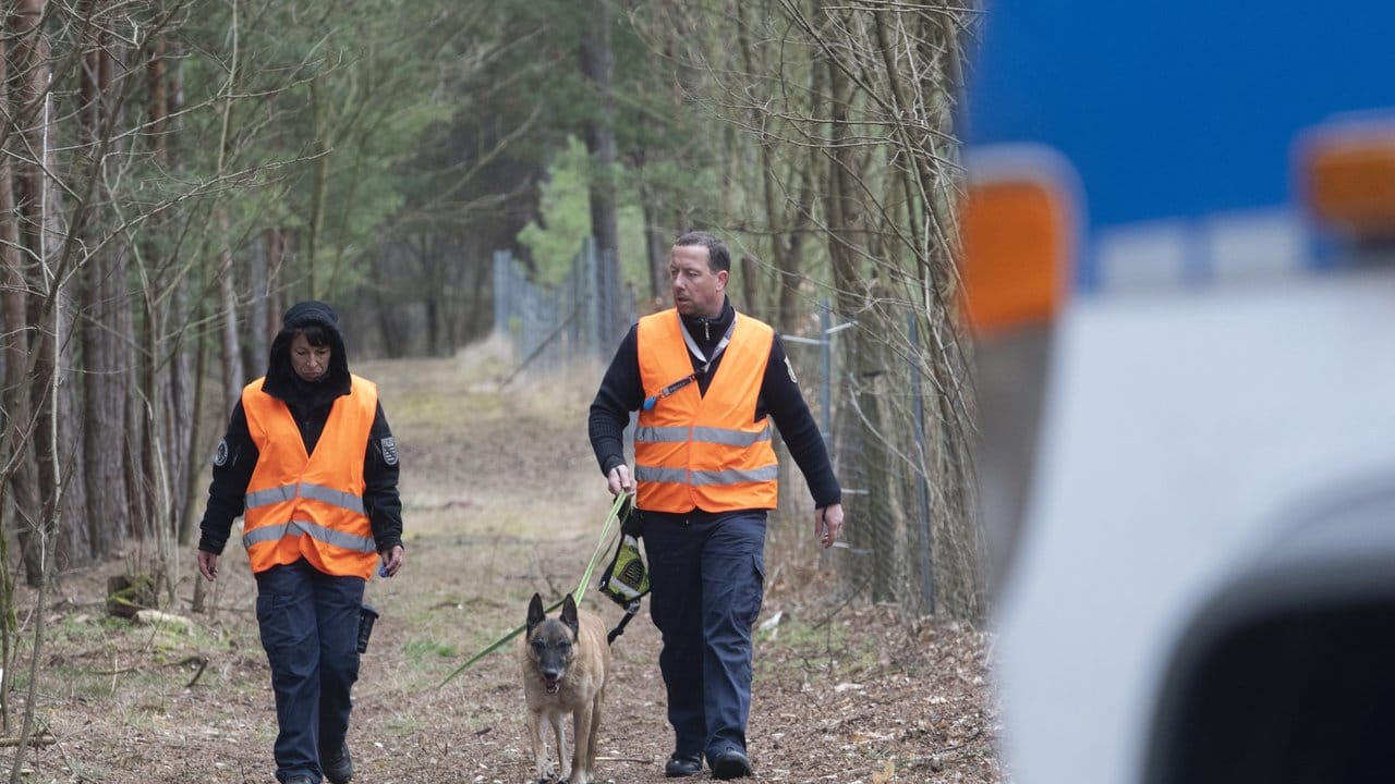 Hundeführer der Polizei suchen in einem Waldstück bei Kummersdorf nach Rebecca.
