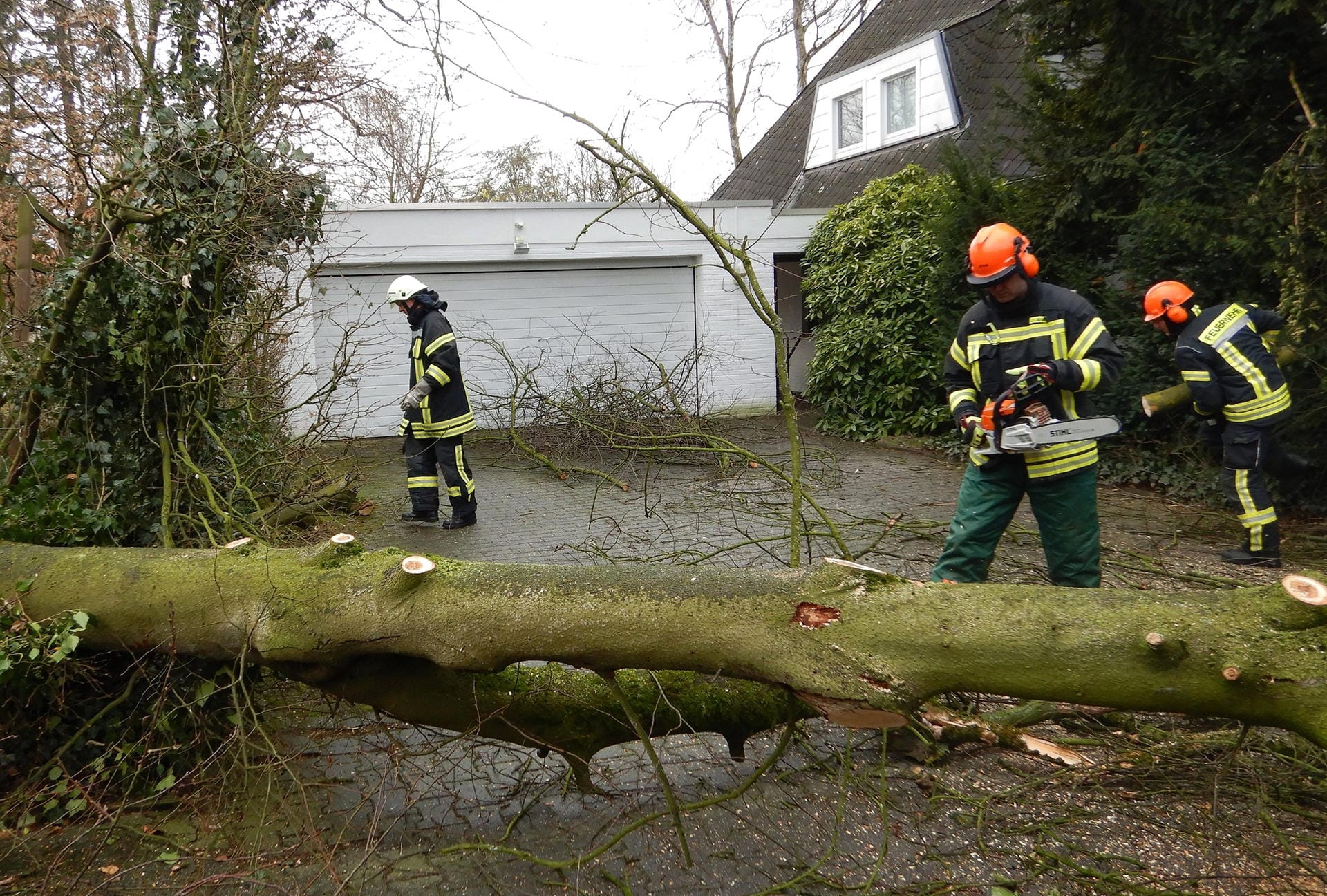 Feuerwehrleute in Ahlen: Im ganzen Bundesgebiet stürzten Bäume um. Teilweise blockierten sie Straßen oder Bahnschienen.