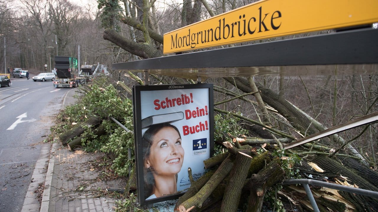 Ein umgestürzter und zerschnittener Baumstamm liegt in einer Haltestelle der Dresdner Verkehrsbetriebe.