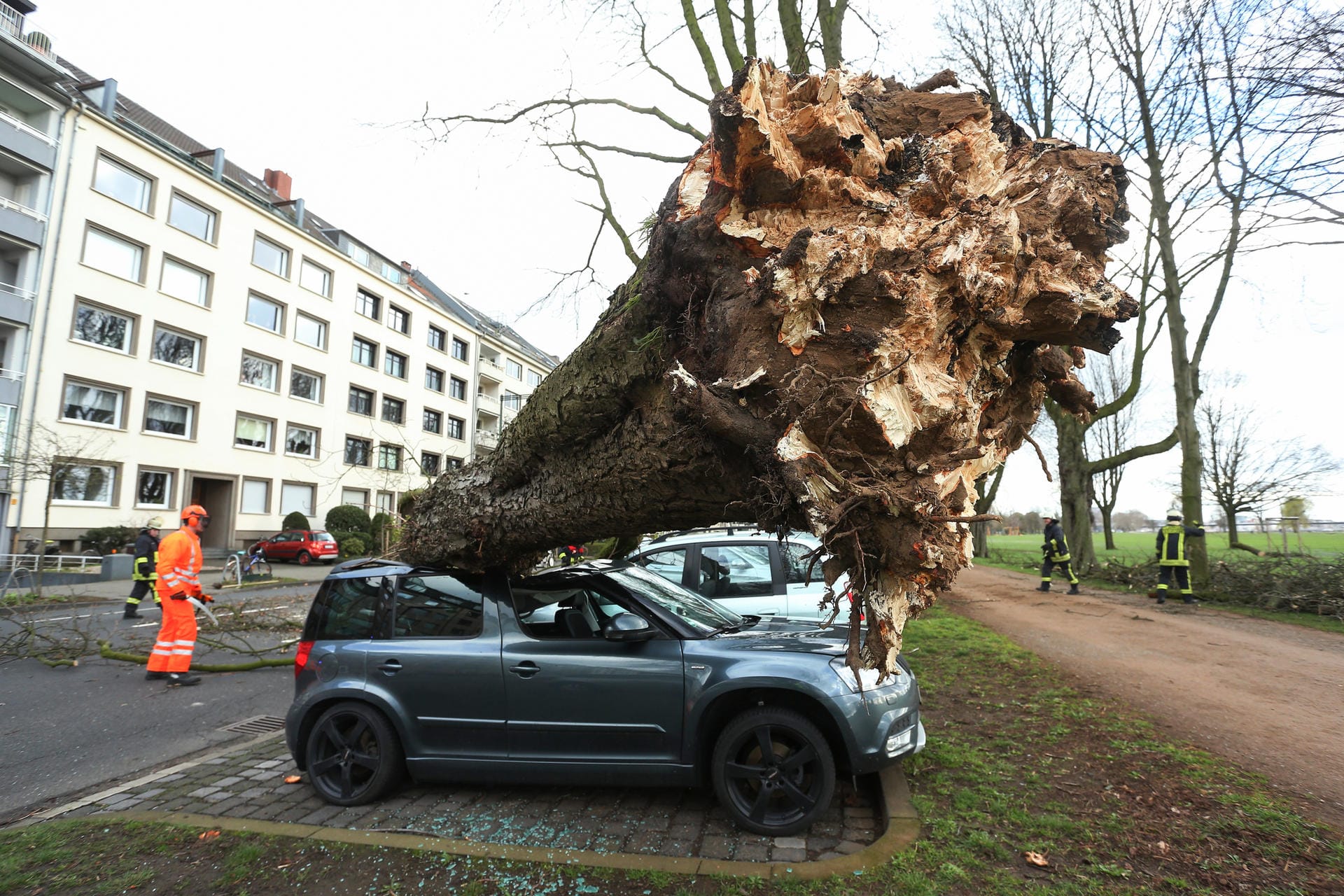 Sturmschäden in Nordrhein-Westfalen: Ein umgekippter Baum liegt auf drei Autos auf der Düsseldorfer Cecillienallee.