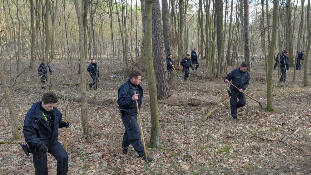 Eine Hundertschaft der Berliner Polizei sucht bei Storkow ein Waldstück ab.