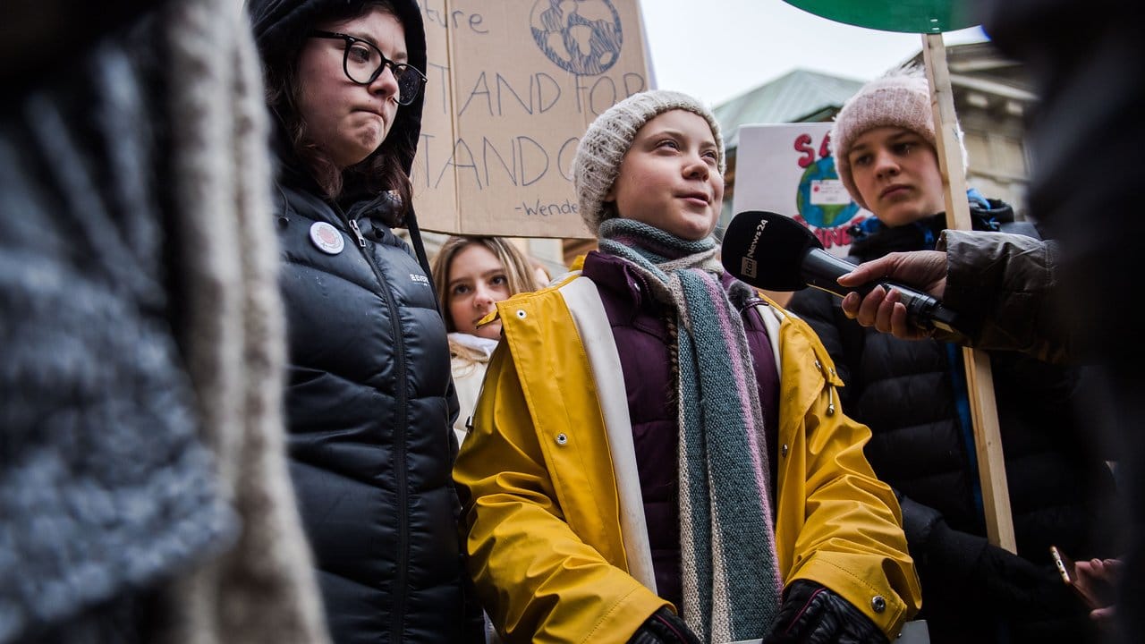 Greta Thunberg bei der "Fridays for Future"-Demo in Stockholm: Die 16-Jährige ist die Symbolfigur der Protestwelle.