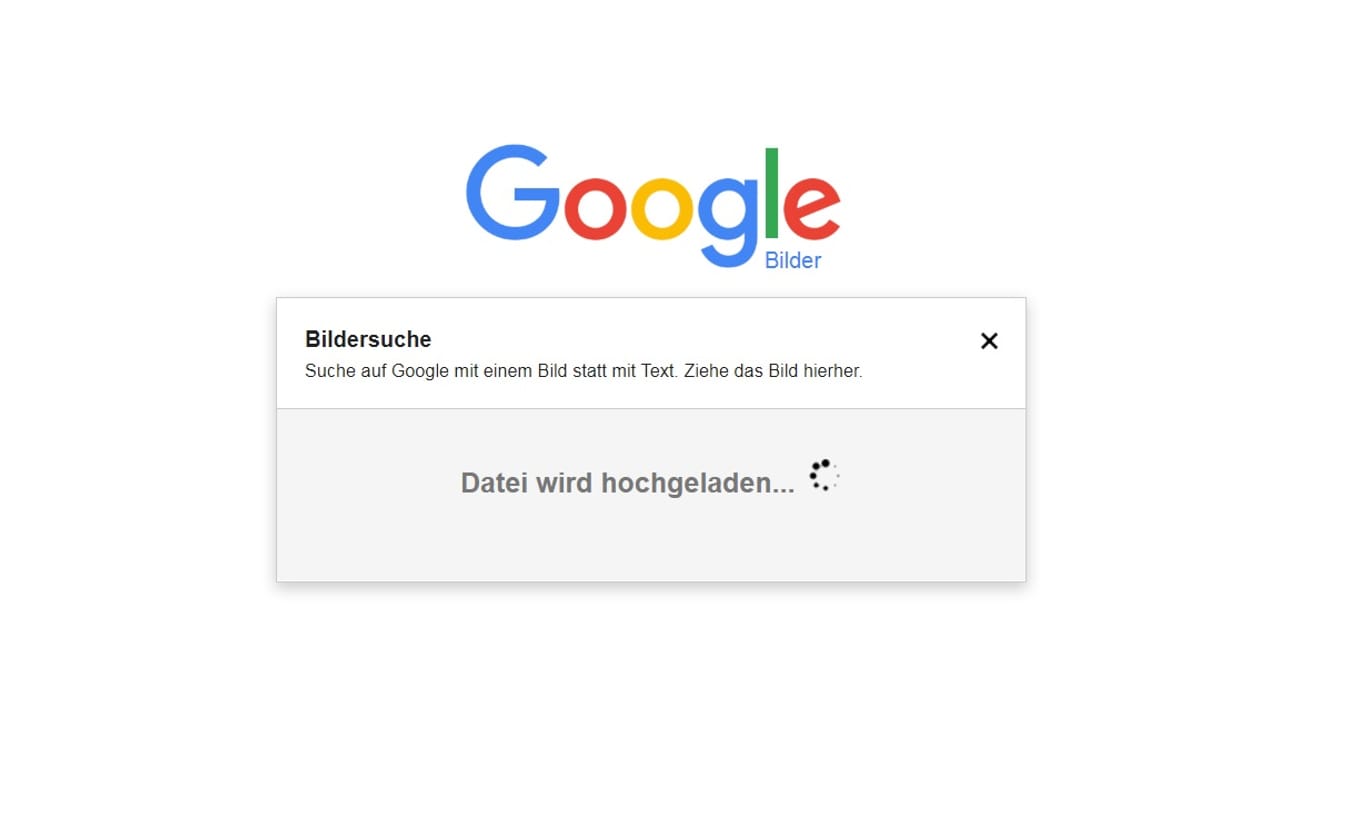 So funktioniert die Google Bilder Rückwärtssuche