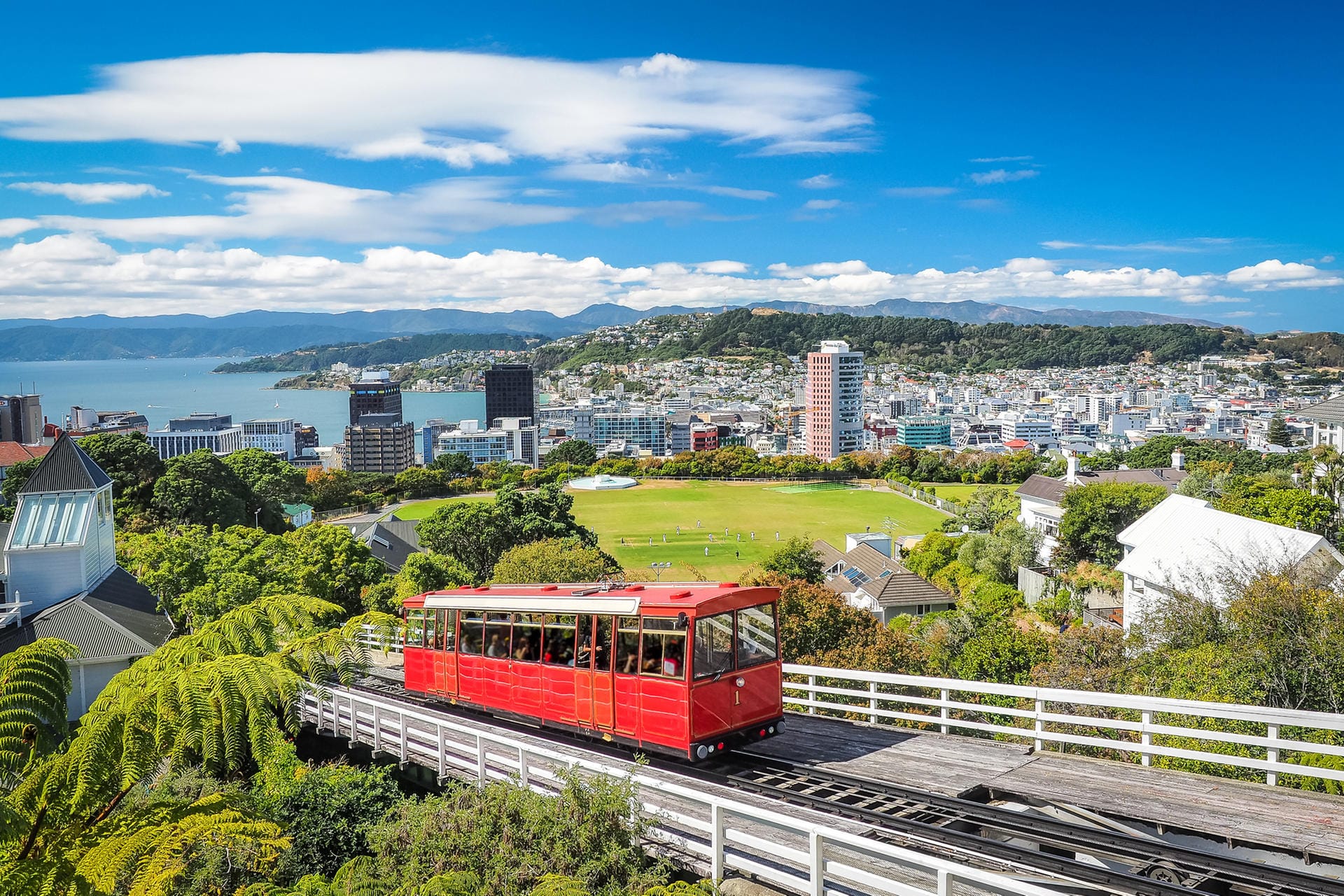 Platz 8: Neuseeland (hier Wellington) ist im Glücksreport das höchstplatzierte Land außerhalb von Europa.