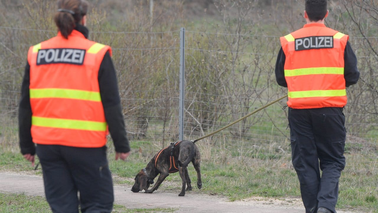 Ein Polizeihund wird zur Suche an der Abfahrt der Autobahn 12 in Fürstenwalde im Landkreis Oder-Spree eingesetzt.