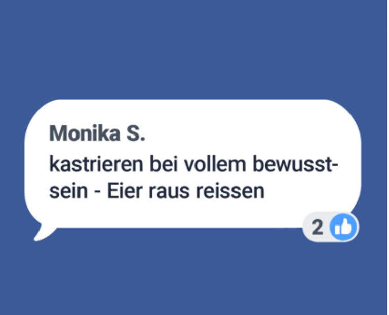 Reconquista Internet hat Beiträge an Facebook gemeldet, die aus Sicht der Organisatoren Hassrede waren. Das sind Beispiele, in denen Facebook keinen Verstoß gegen seine Standards gesehen hat. Dieses hier ist beispielsweise kein Verstoß gegen die Gemeinschaftsstandards bei Facebook. Zum Test hatte ...