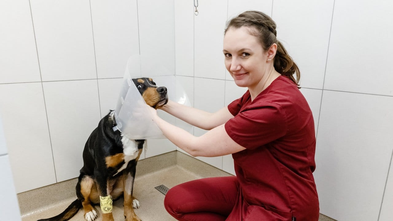 Streicheleinheit nach der Operation: Was bei der stationären Versorgung und Pflege tierischer Patienten zu beachten ist, lernt Ronja Nägel in ihrer Ausbildung zur Tiermedizinischen Fachangestellten.