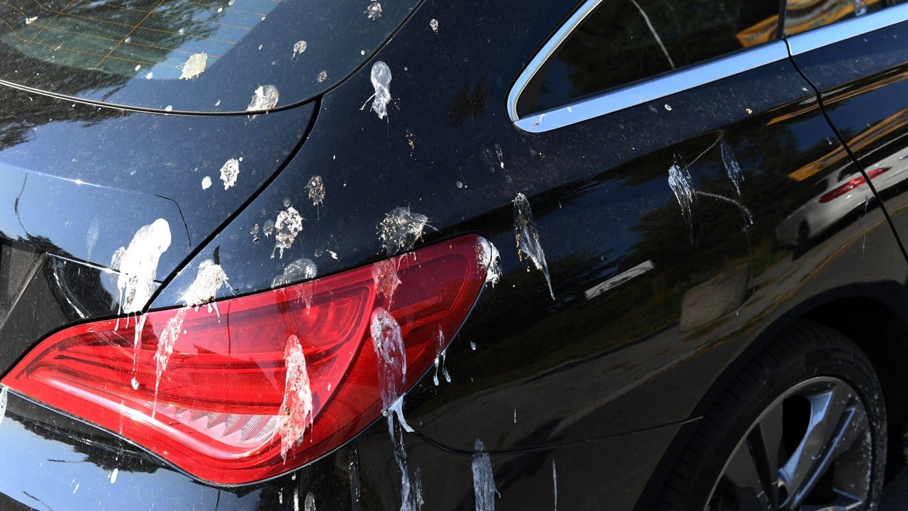 Aggressive Vogelfracht: Alle außergewöhnlichen Verschmutzungen wie Vogelkot, Baumharze oder Industrieablagerung sollten Autofahrer schnellstmöglich entfernen. Aggressive Vogelfracht: Alle außergewöhnlichen Verschmutzungen wie Vogelkot, Baumharze oder Industrieablagerung sollten Autofahrer schnellstmöglich entfernen.