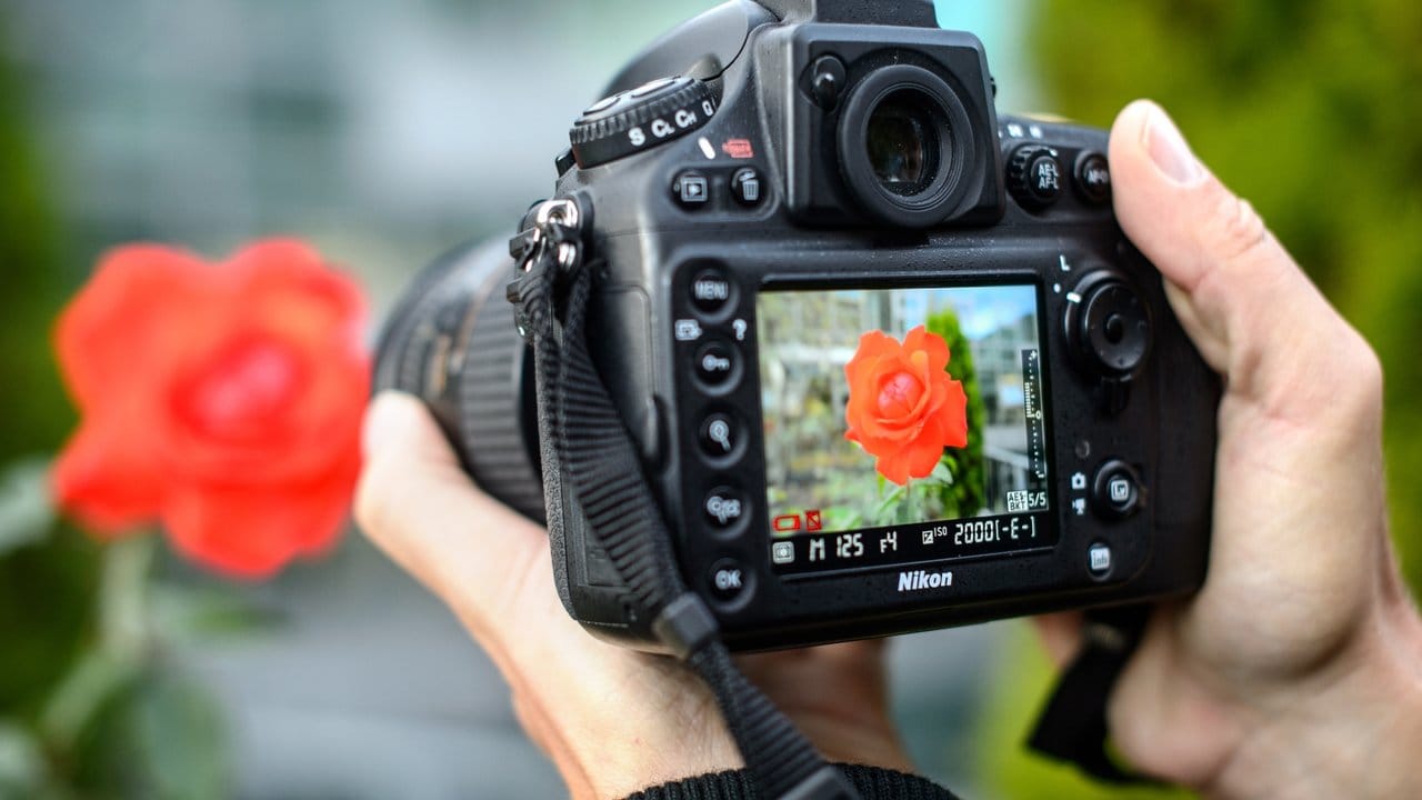 Egal, was man fotografiert: Die Kamera sollte ruhig in den Händen liegen.