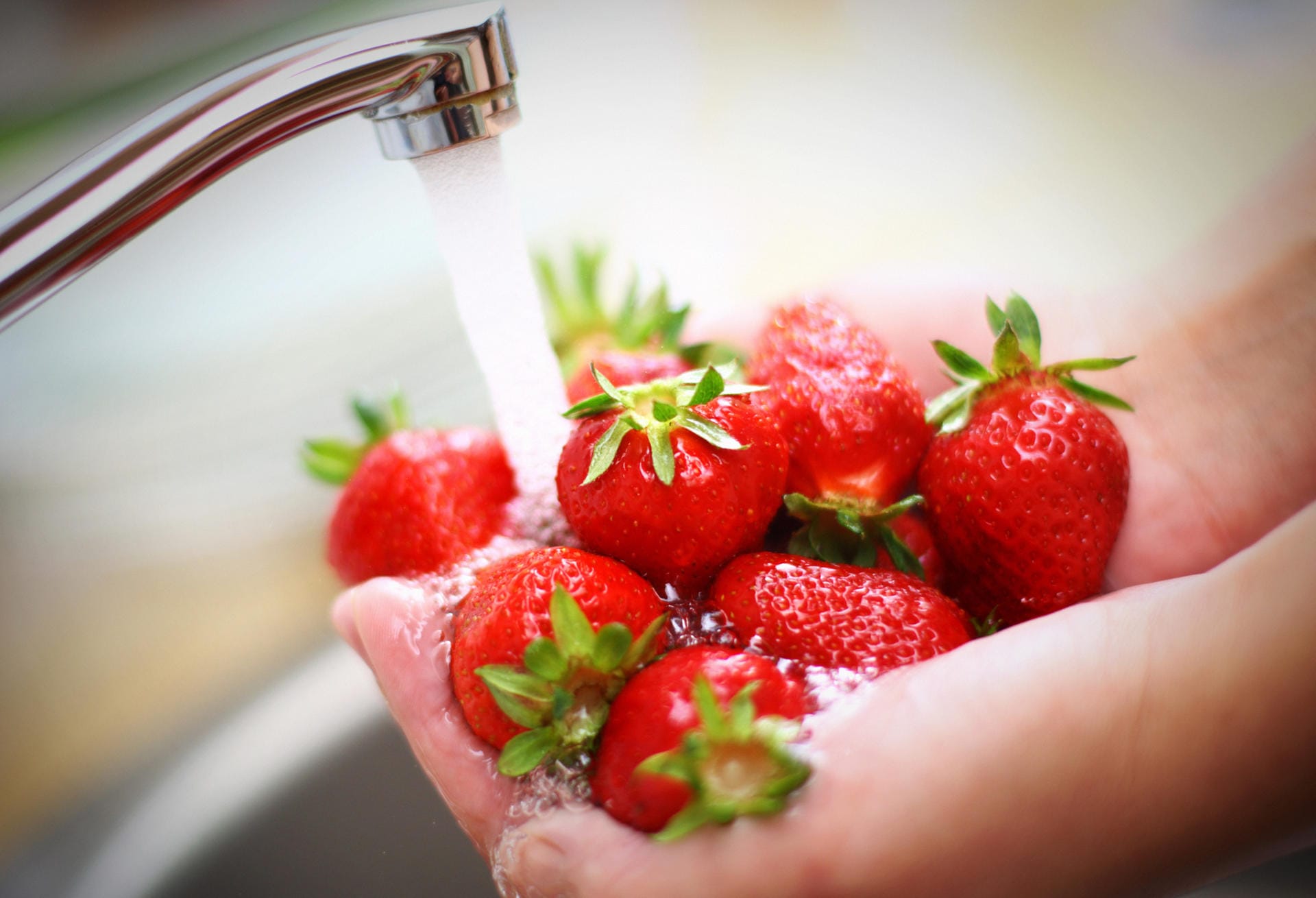 Vermeiden Sie einen harten Wasserstrahl beim Waschen der Früchte. Das ist Gift für die empfindlichen Erdbeeren, denn es schadet ihnen und sie verlieren ihren Geschmack.
