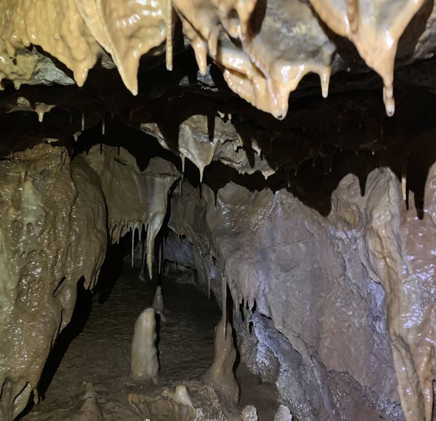 Die "Windloch" genannte Höhle in der Tiefe des Ründerother Mühlenbergs soll ausführlich vermessen und untersucht werden.