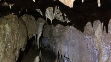 Die "Windloch" genannte Höhle in der Tiefe des Ründerother Mühlenbergs soll ausführlich vermessen und untersucht werden.