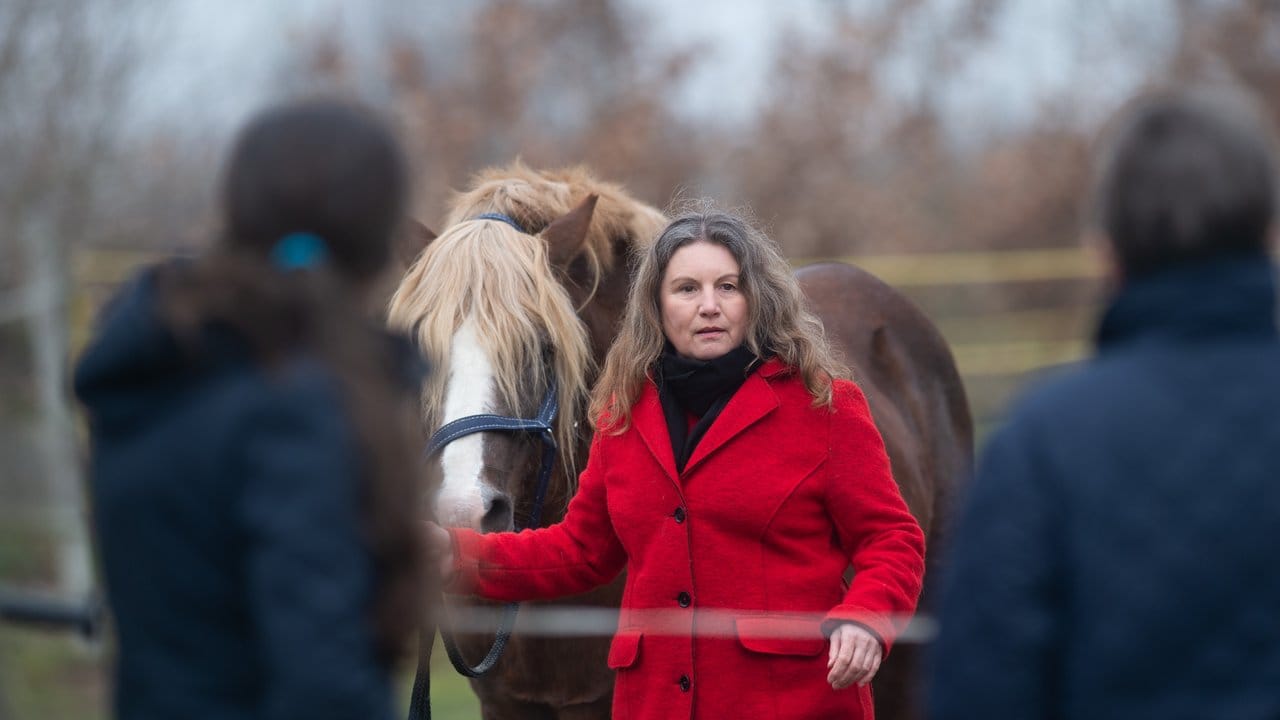 Pferdewirtin und Naturheilpraktikerin Elvira Hagen führt den Hengst Enki zu den Teilnehmern.