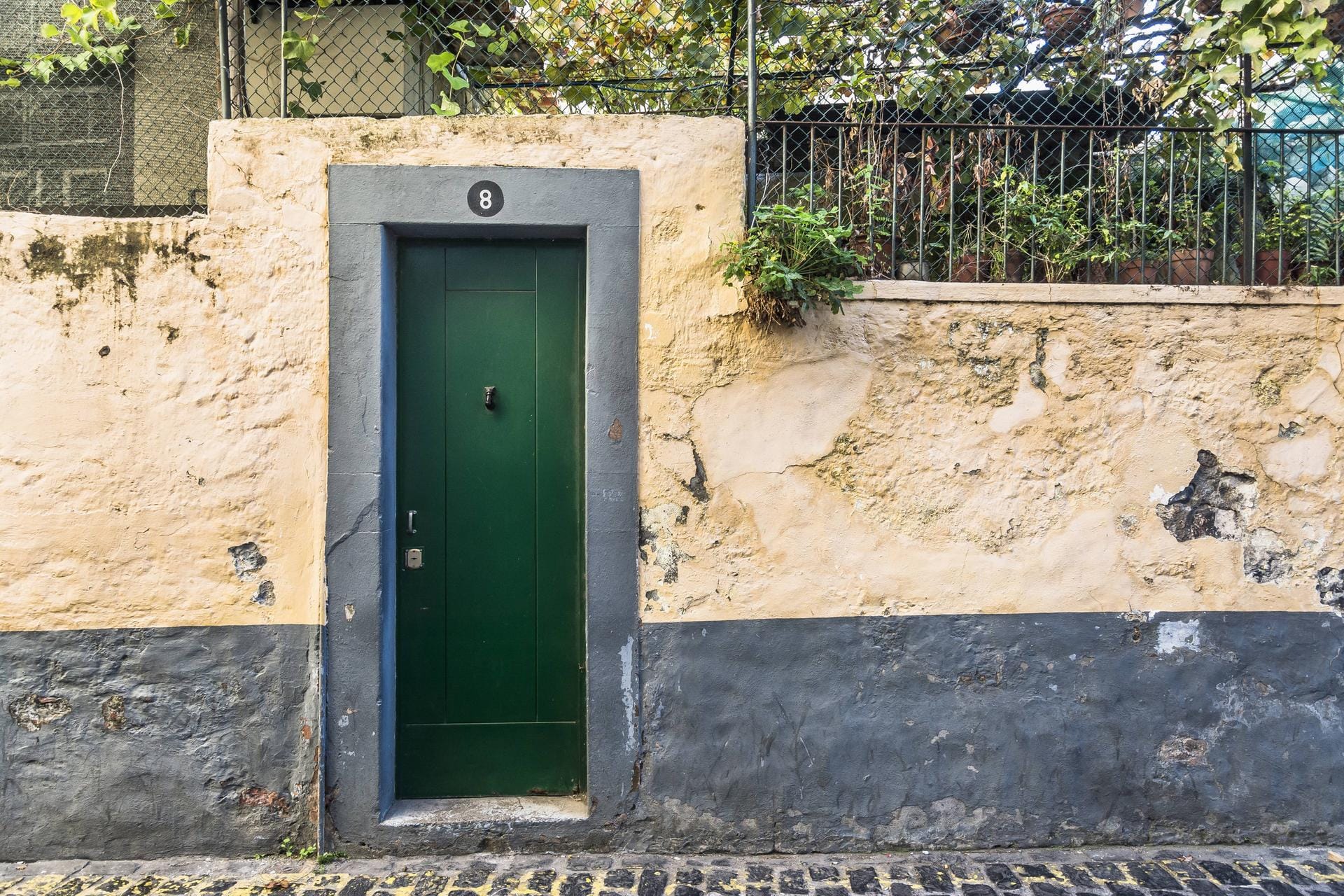 Die Hausnummer 8 prangt über einer grünen Holztür in einer Grundstücksmauer in der Altstadt von Funchal auf Madeira.