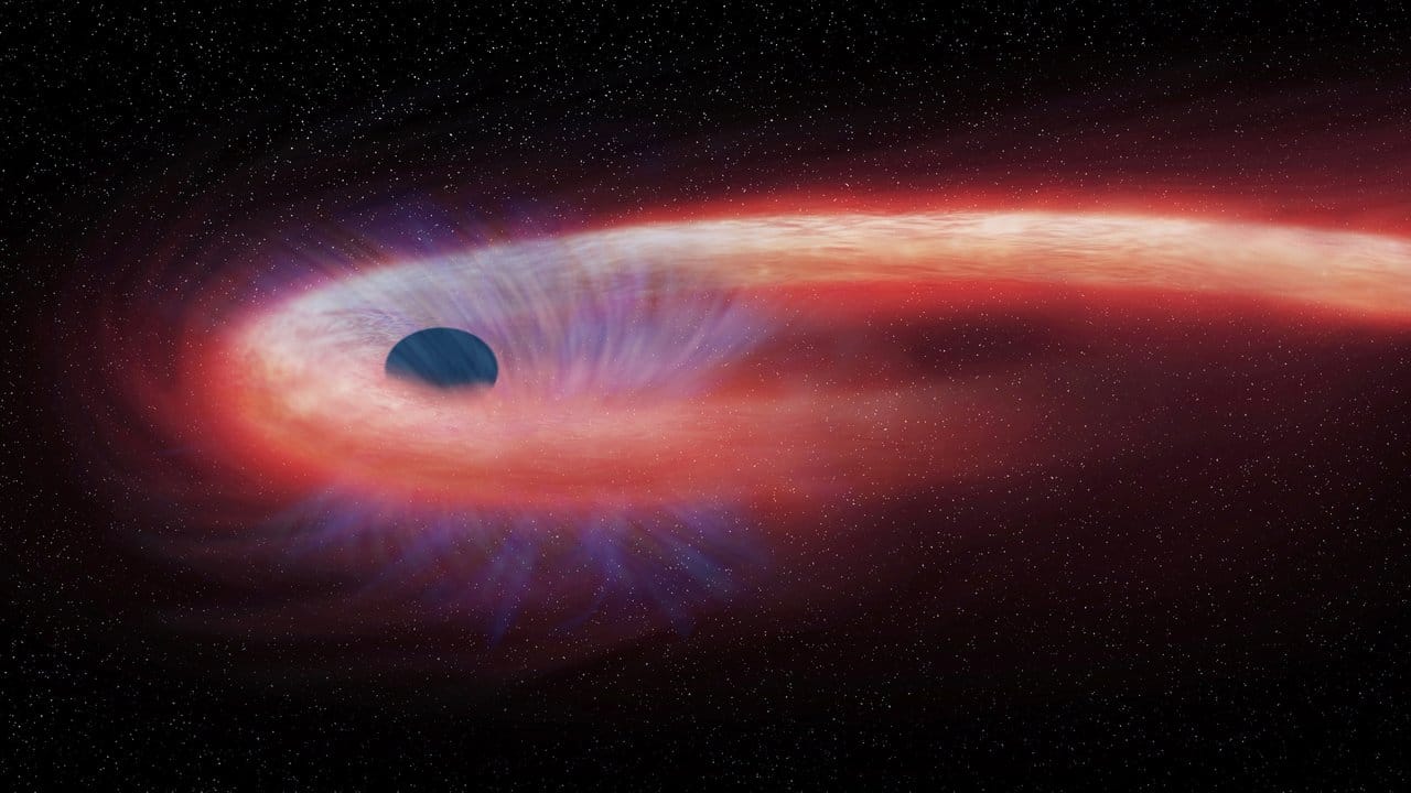 Diese grafische Darstellung zeigt einen Stern, der von einem schwarzen Loch geschluckt wird und dabei einen roten Schweif aus Röntgenstrahlen hinter sich lässt.