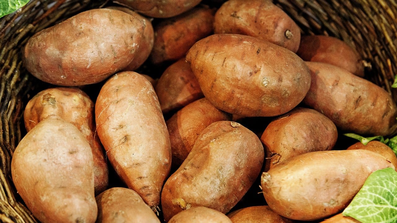 Derzeit gibt es etwa zwei bis drei Süßkartoffel-Sorten im Handel - weltweit ist die Sortenvielfalt aber viel größer.