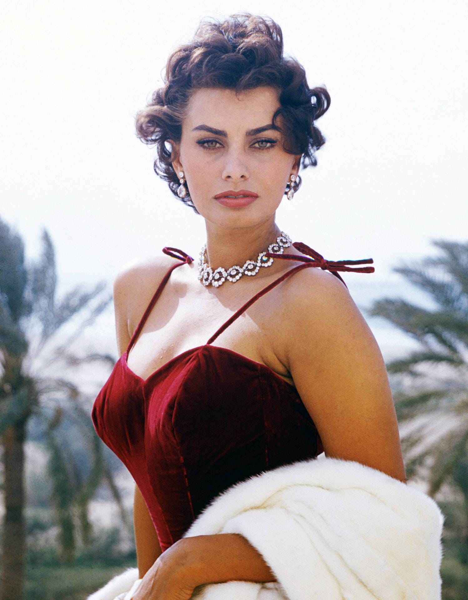 Sophia Loren (geboren 1934): Die italienische Schauspielerin begann ihre Weltkarriere in den 50er-Jahren. Noch heute gilt sie als eine der schönsten Frauen der Welt. Die Ikone musste 1982 für einige Tage ins Gefängnis – wegen Steuerhinterziehung. Ihrem Ruhm hat das keinen Abbruch getan.