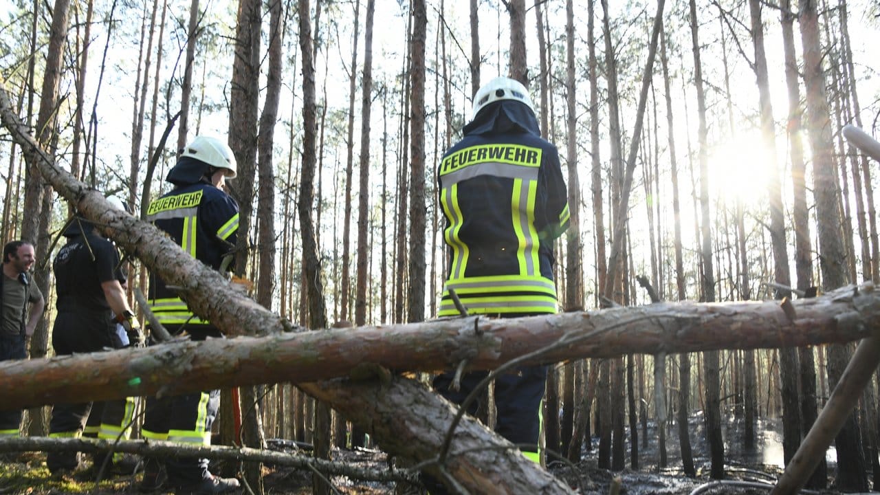 Rund 300 Quadratmeter Wald hatten am Mittwoch nahe Groß Kreutz in Brandenburg Feuer gefangen.