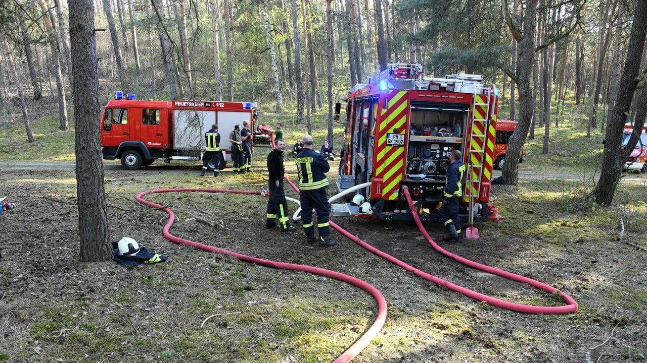 In allen Brandenburger Landkreisen und kreisfreien Städten bis auf die Kreise Uckermark, Barnim und Märkisch-Oderland ist die Waldbrandgefahr hoch.
