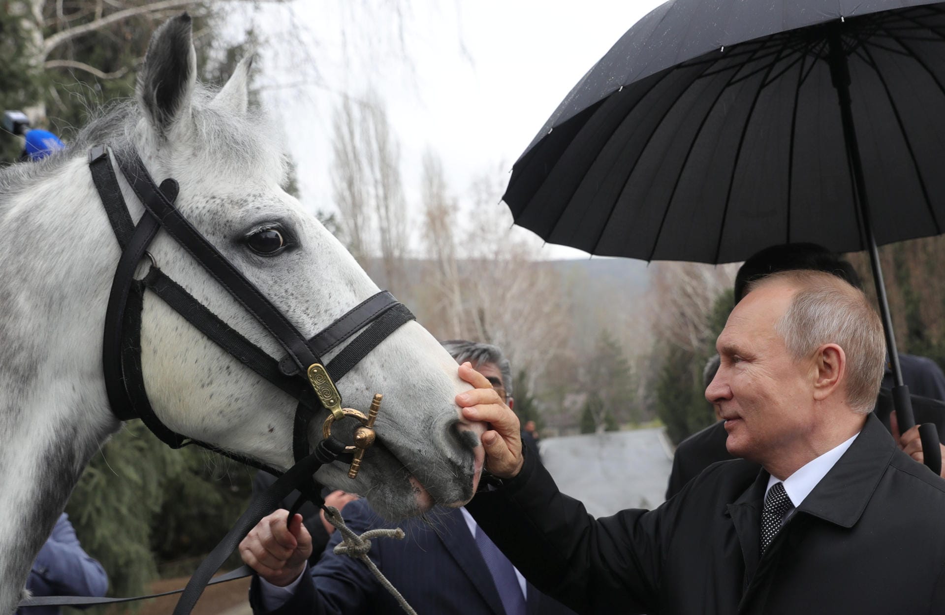 Putin ganz sanft: Russlands Präsident streichelt einen Orlow-Trotter bei einem Besuch in Kirgisistan. Mit Tieren zeigt sich Putin besonders gern.