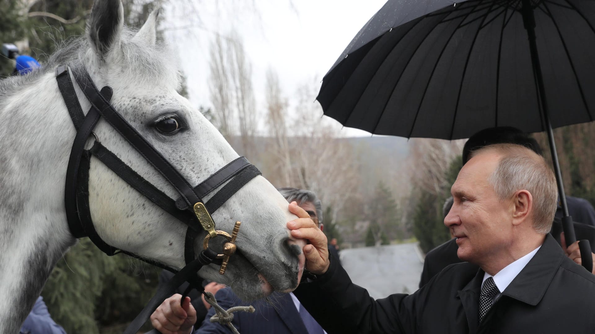 Putin ganz sanft: Russlands Präsident streichelt einen Orlow-Trotter bei einem Besuch in Kirgisistan. Mit Tieren zeigt sich Putin besonders gern.