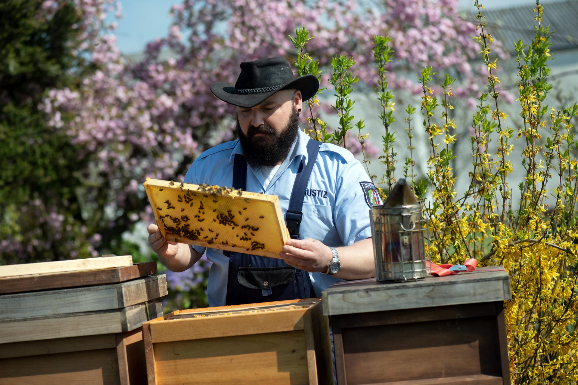 Sebastian Laubach, Justizbeamter, kontrolliert einen Bienenstock: Mit den Bienen müssen die Häftlinge fürsorglich umgehen.