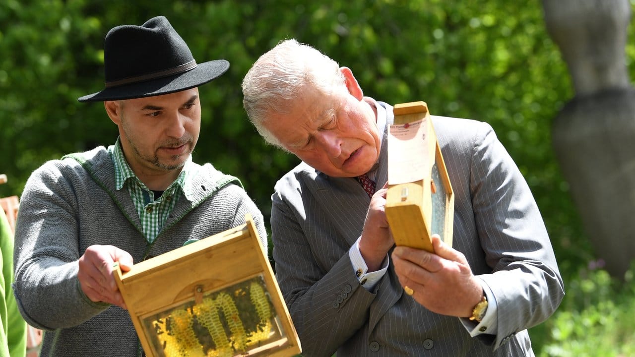 Prinz Charles (r), ließ sich vom Imker Alen Bacic die Bienen zeigen.