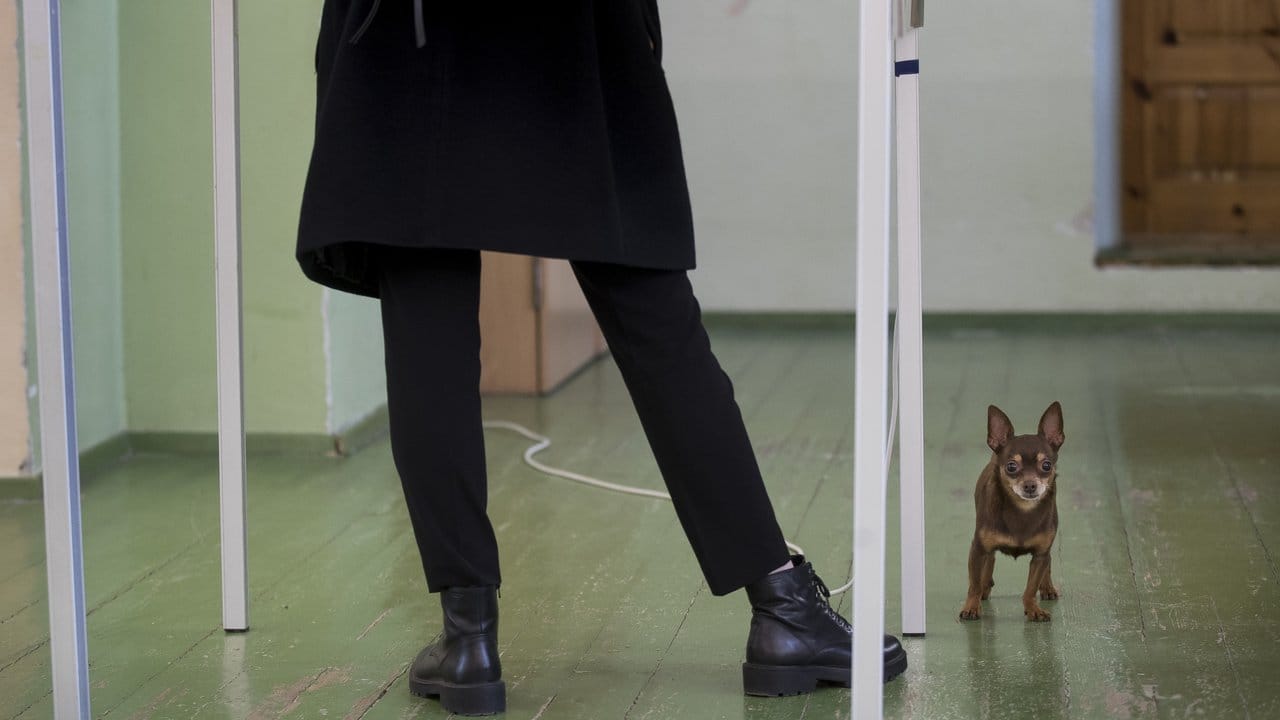 Knapp 2,5 Millionen Wahlberechtigte waren in dem baltischen Staat zur Abstimmung aufgerufen.