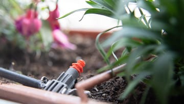 Ein automatisches Bewässerungssystem mit Schlauch kann Balkonpflanzen während eines Urlaubs für längere Zeit versorgen.