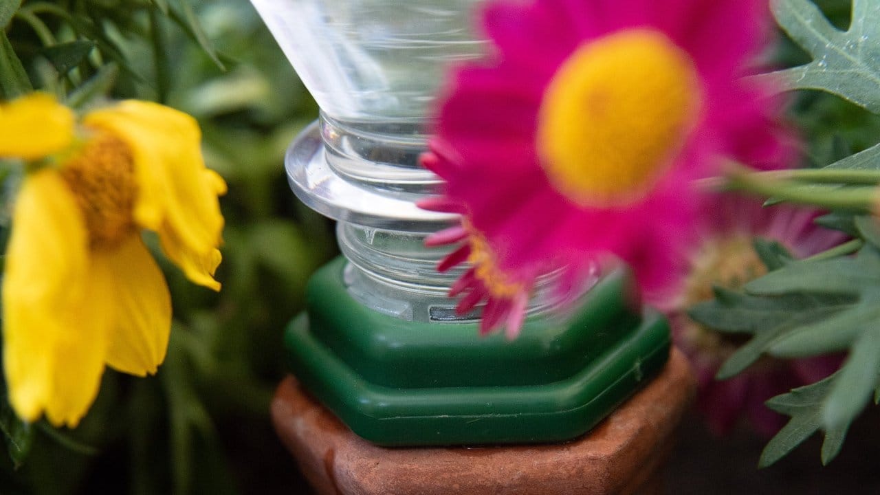 Eine einfache und recht günstige Lösung für die Bewässerung der Balkonpflanzen sind Ton-Kegel, auf die mit Wasser gefüllte Flaschen gesteckt werden.