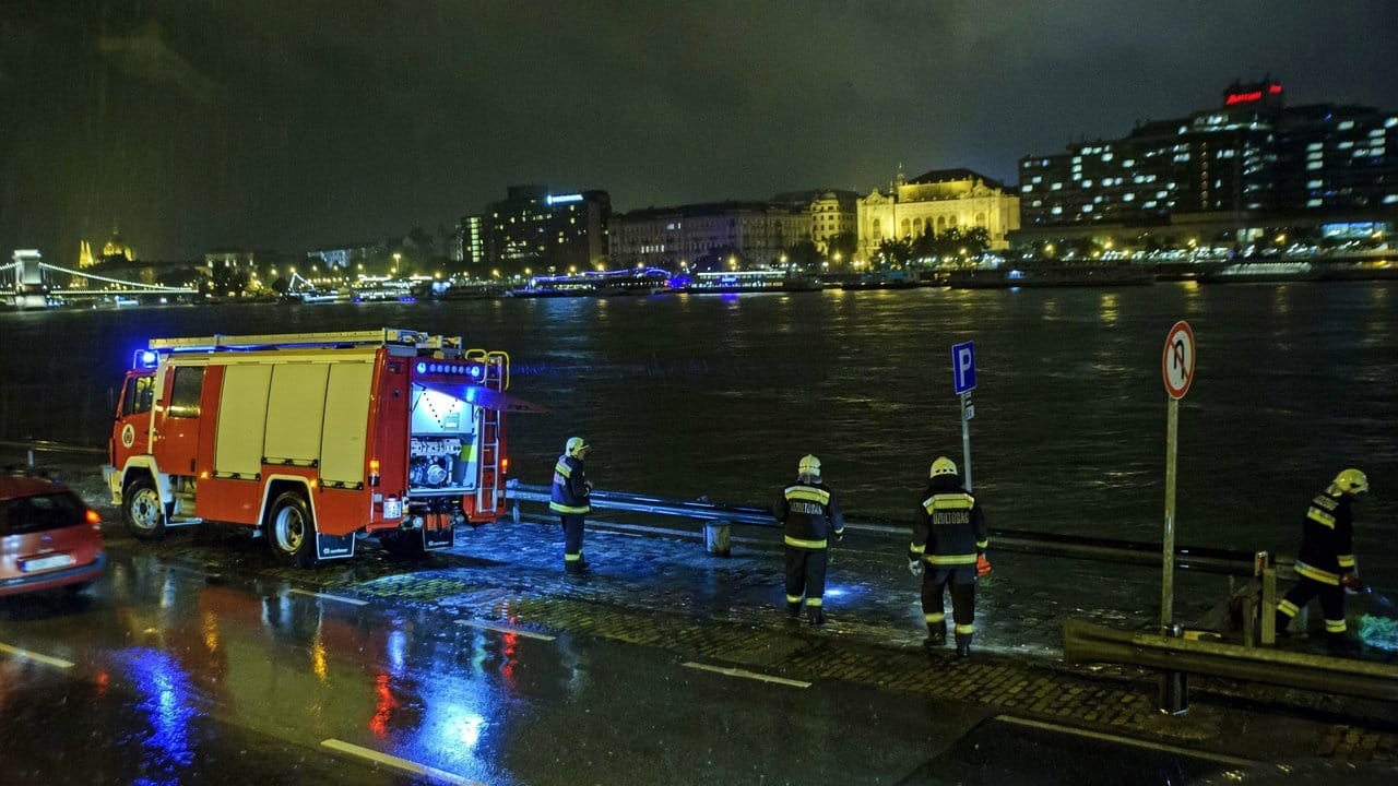 Rettungskräfte suchen in der Nacht am Ufer der Donau nach Opfern.