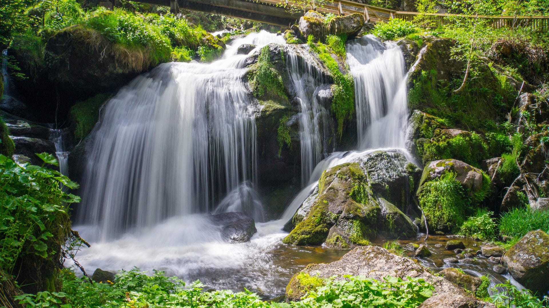 Triberger Wasserfälle: Das Wasser stürzt 163 Meter hinab und bietet besonders nach starken Regenfällen ein enormes Spektakel.