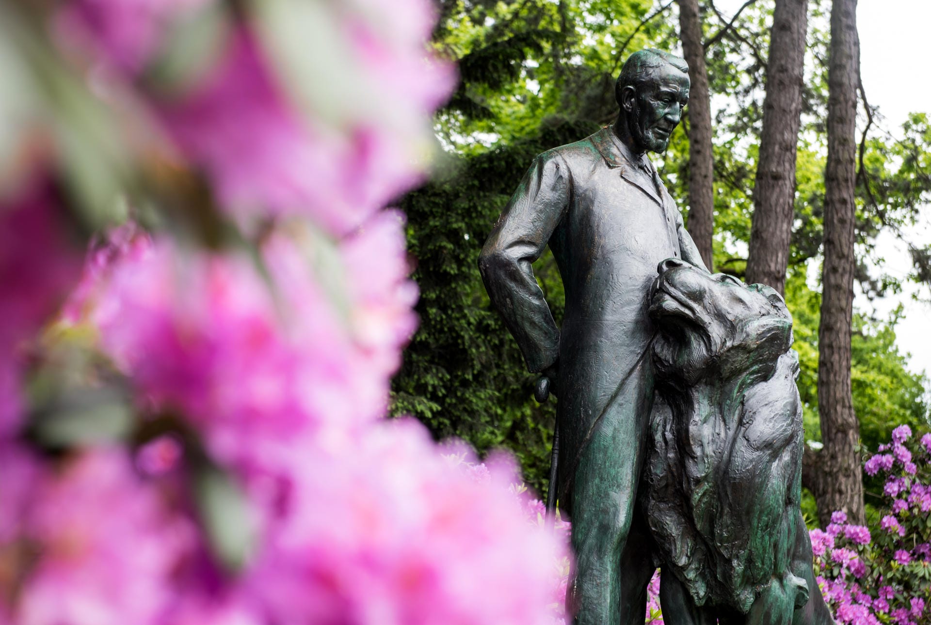 Bronzestatue erinnert an Zoo-Gründer