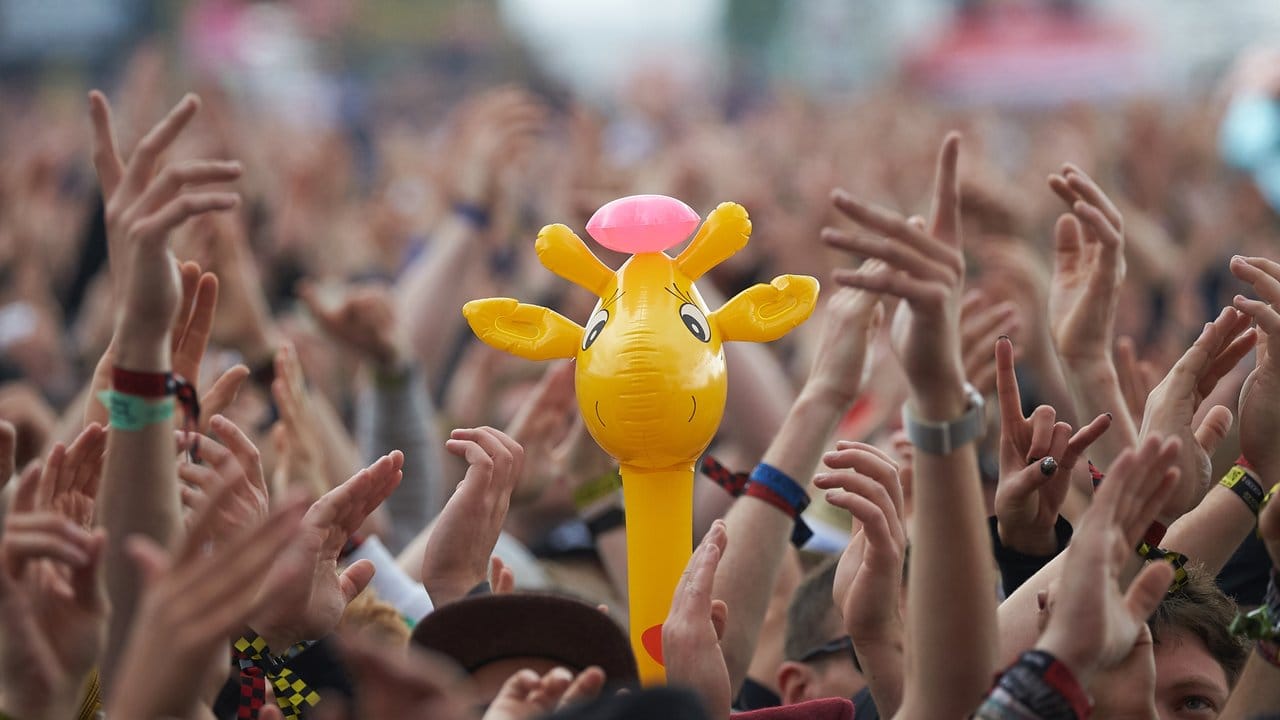 Eine Giraffe rockt am Ring. Eine Giraffe rockt am Ring.