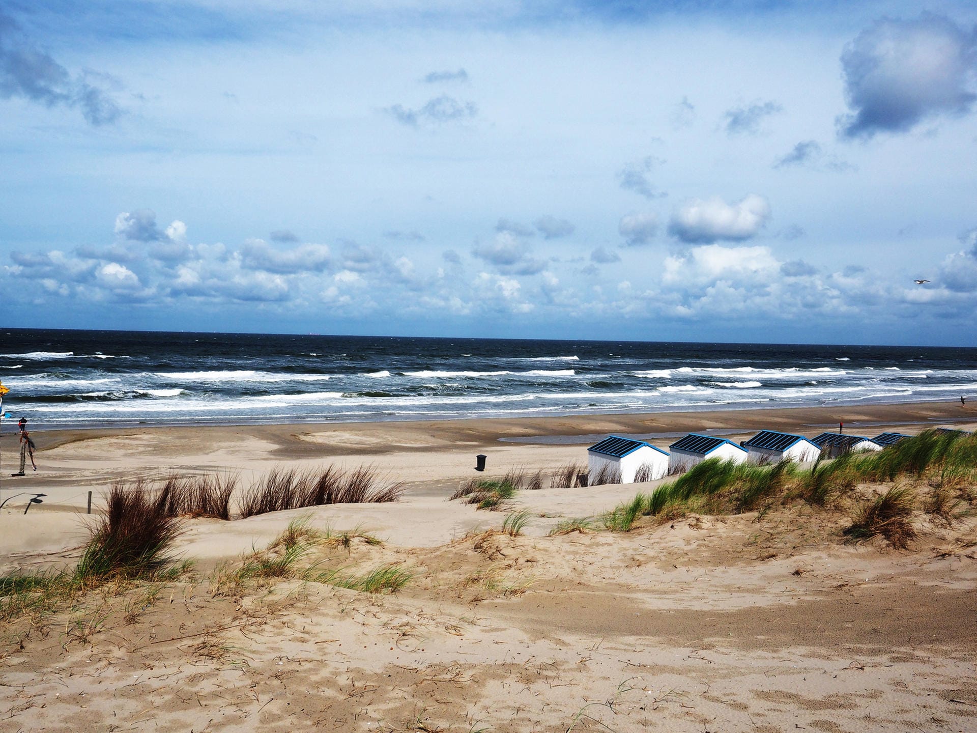 De Koog: Der feine Sandstrand De Koog liegt an der Westküste der Insel Texel.