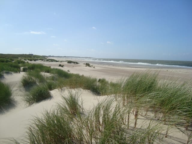 De Banjaard: Der drei Kilometer lange Strand ist ideal für Spaziergänge – auch mit Hund.