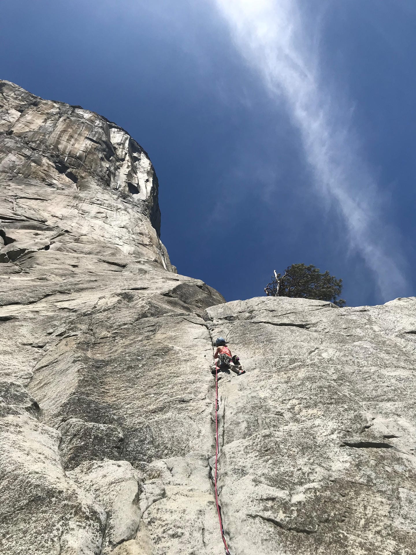 Die zehnjährige Selah Schneiter wagt den Aufstieg auf den 1.000 Meter hohen "El Capitan" im US-Nationalpark Yosemite.