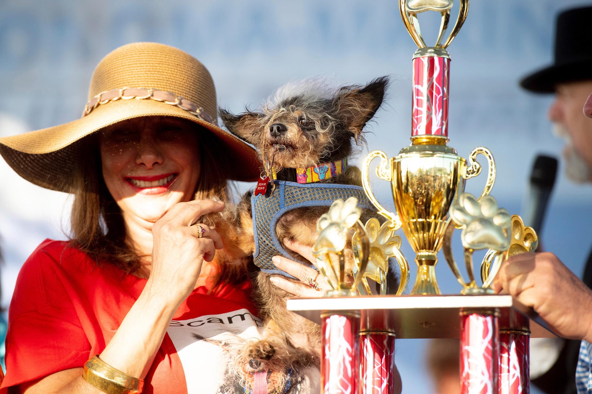 Besitzerin Darlene Wright hält ihren Hund "Scamp the Tramp" nach der Siegerehrung voller Stolz in die Höhe.