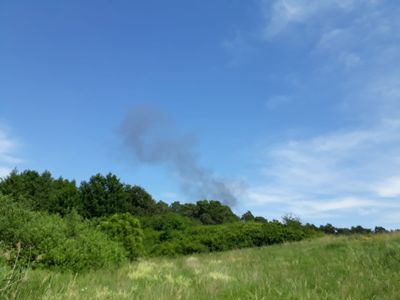 Dieses Foto zeigt eine Rauchsäule bei Malchow hinter einem Waldstück.