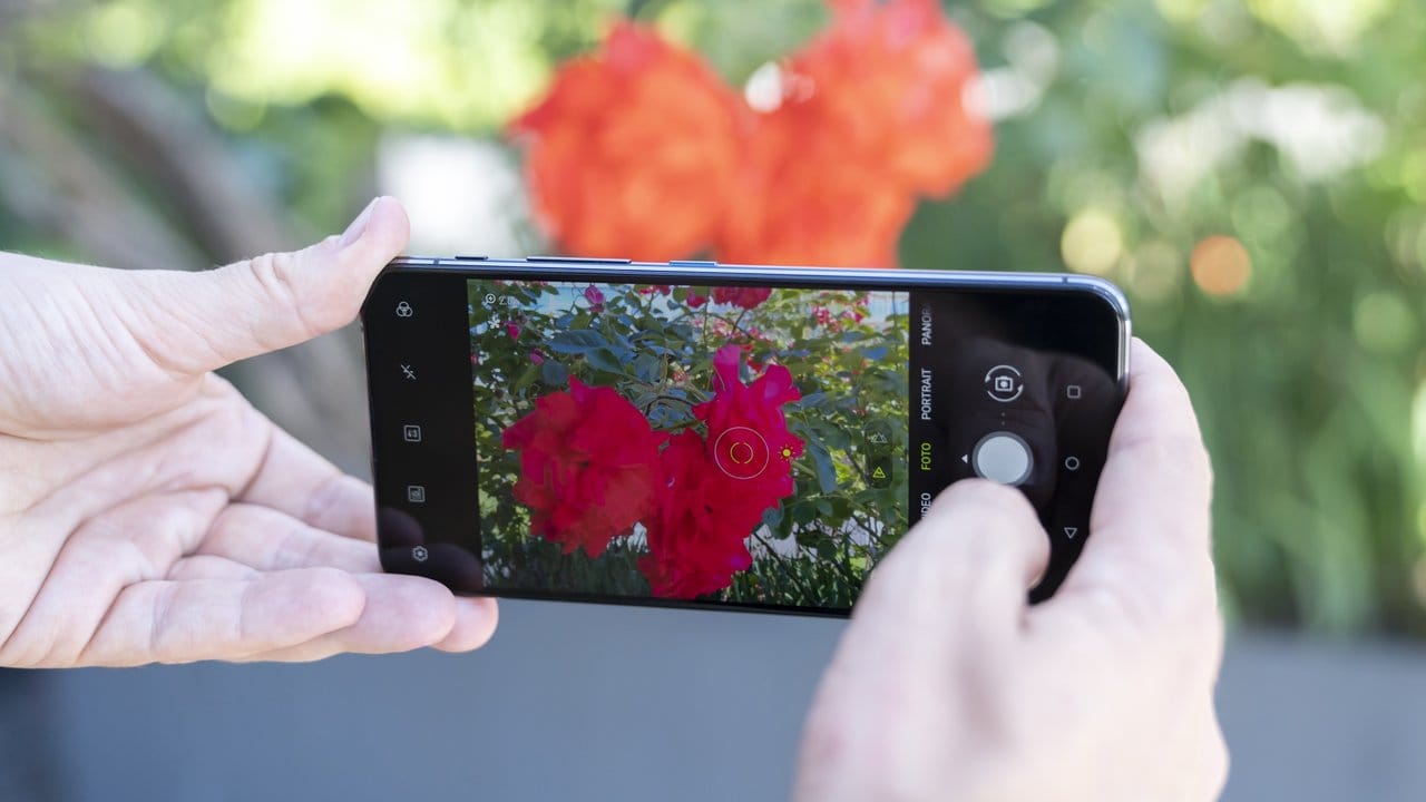 Die Kamerasoftware des Asus Zenfone 6 hat eine intelligente Bilderkennung für diverse Szenen installiert.