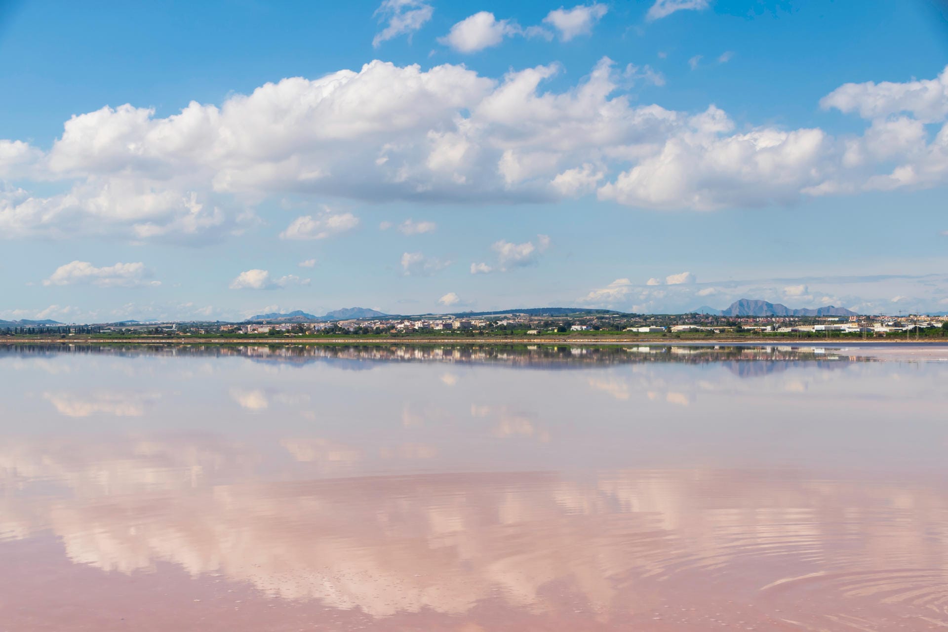 Las Salinas de Torrevieja: Für die rosa Färbung des Wassers ist eine Mikroalgenart verantwortlich.